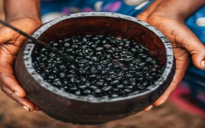 Açai-Beeren: Superfood oder überbewerteter Hype? 10 Fakten, die du kennen solltest